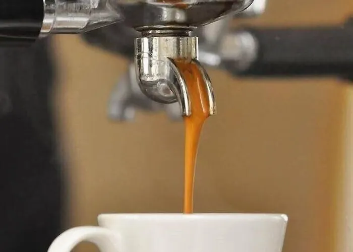 Bova 3* פרנקפורט